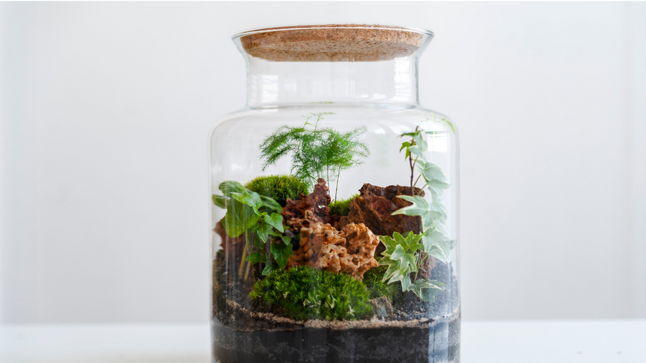 How to Plant a Mason Jar Terrarium for Beginners